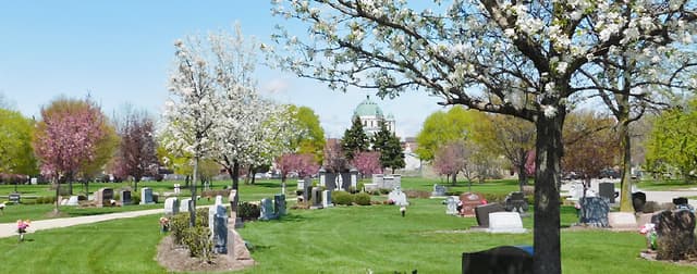 Cemetery